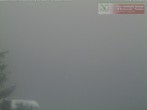 Archived image Webcam View from the mountain restaurant Rossstelle 09:00