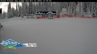 Archiv Foto Webcam Black Forest Day Lodge 13:00