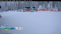 Archiv Foto Webcam Black Forest Day Lodge 15:00