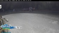 Archived image Webcam Black Forest Day Lodge 01:00