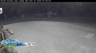 Archived image Webcam Black Forest Day Lodge 05:00