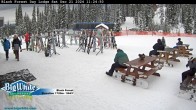 Archived image Webcam Black Forest Day Lodge 11:00