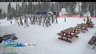 Archived image Webcam Black Forest Day Lodge 13:00