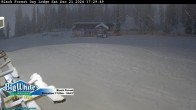 Archived image Webcam Black Forest Day Lodge 17:00