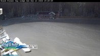 Archived image Webcam Black Forest Day Lodge 21:00