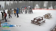 Archived image Webcam Black Forest Day Lodge 11:00