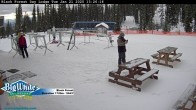 Archived image Webcam Black Forest Day Lodge 13:00