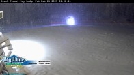 Archiv Foto Webcam Black Forest Day Lodge 23:00