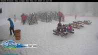 Archiv Foto Webcam Black Forest Day Lodge 11:00