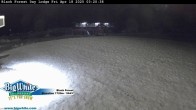 Archiv Foto Webcam Black Forest Day Lodge 02:00