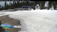 Archived image Webcam Black Forest Day Lodge 14:00