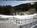 Archiv Foto Webcam Gelände Skischule Rindole 11:00