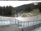 Archived image Webcam ski school Rindole 11:00