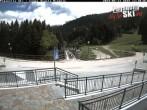 Archiv Foto Webcam Gelände Skischule Rindole 11:00