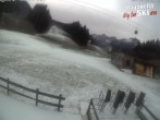 Archiv Foto Webcam Paganella: Skischule Rindole 11:00