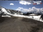 Archiv Foto Webcam Paganella: Skischule Rindole 13:00