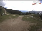 Archived image Webcam Paganella: Ski School Rindole 11:00