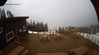 Archiv Foto Webcam Revelstoke Mountain Resort: Mackenzie Outpost 16:00