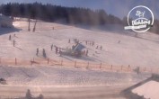 Archiv Foto Webcam Viehberg Piste 11:00