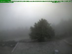 Archiv Foto Webcam Brotterode 17:00