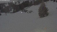 Archiv Foto Webcam Bridger Bowl: Deer Park 17:00