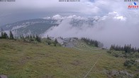 Archived image Webcam Großer Arber mountain (east) 13:00