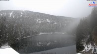 Archived image Webcam Lake "Großer Arbersee" 06:00