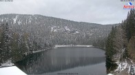 Archived image Webcam Lake "Großer Arbersee" 07:00