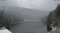 Archived image Webcam Lake "Großer Arbersee" 13:00