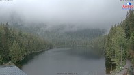 Archived image Webcam Lake "Großer Arbersee" 11:00