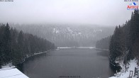 Archiv Foto Webcam Großer Arbersee 08:00