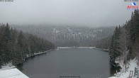 Archiv Foto Webcam Großer Arbersee 10:00