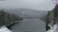 Archived image Webcam Lake "Großer Arbersee" 11:00