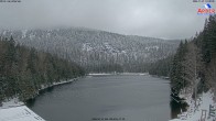 Archiv Foto Webcam Großer Arbersee 14:00