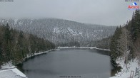 Archiv Foto Webcam Großer Arbersee 09:00