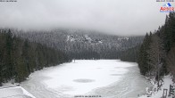 Archived image Webcam Lake "Großer Arbersee" 09:00