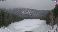 Archived image Webcam Lake "Großer Arbersee" 13:00