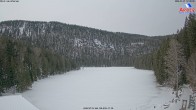 Archived image Webcam Lake "Großer Arbersee" 11:00