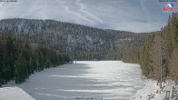 Archived image Webcam Lake "Großer Arbersee" 11:00