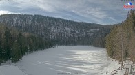 Archived image Webcam Lake "Großer Arbersee" 13:00