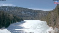 Archiv Foto Webcam Großer Arbersee 11:00