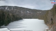 Archived image Webcam Lake "Großer Arbersee" 09:00