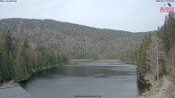 Archiv Foto Webcam Großer Arbersee 09:00