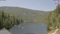 Archiv Foto Webcam Großer Arbersee 11:00