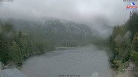 Archiv Foto Webcam Großer Arbersee 09:00
