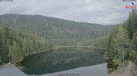 Archiv Foto Webcam Großer Arbersee 07:00