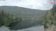 Archiv Foto Webcam Großer Arbersee 09:00