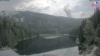 Archived image Webcam Lake "Großer Arbersee" 15:00