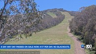 Archived image Webcam Mt Buller - Slope Little Buller Spur 11:00