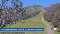 Archived image Webcam Mt Buller - Slope Little Buller Spur 13:00